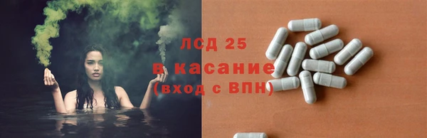 СК Богородск