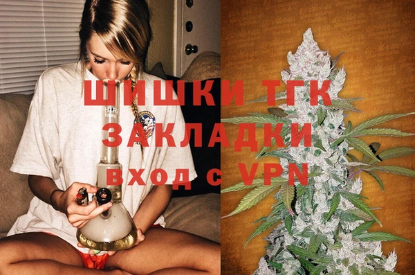 PSILOCYBIN Богданович