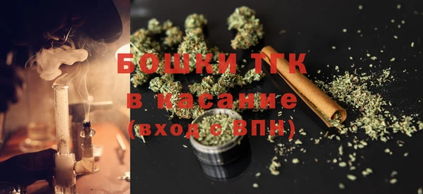 PSILOCYBIN Богданович